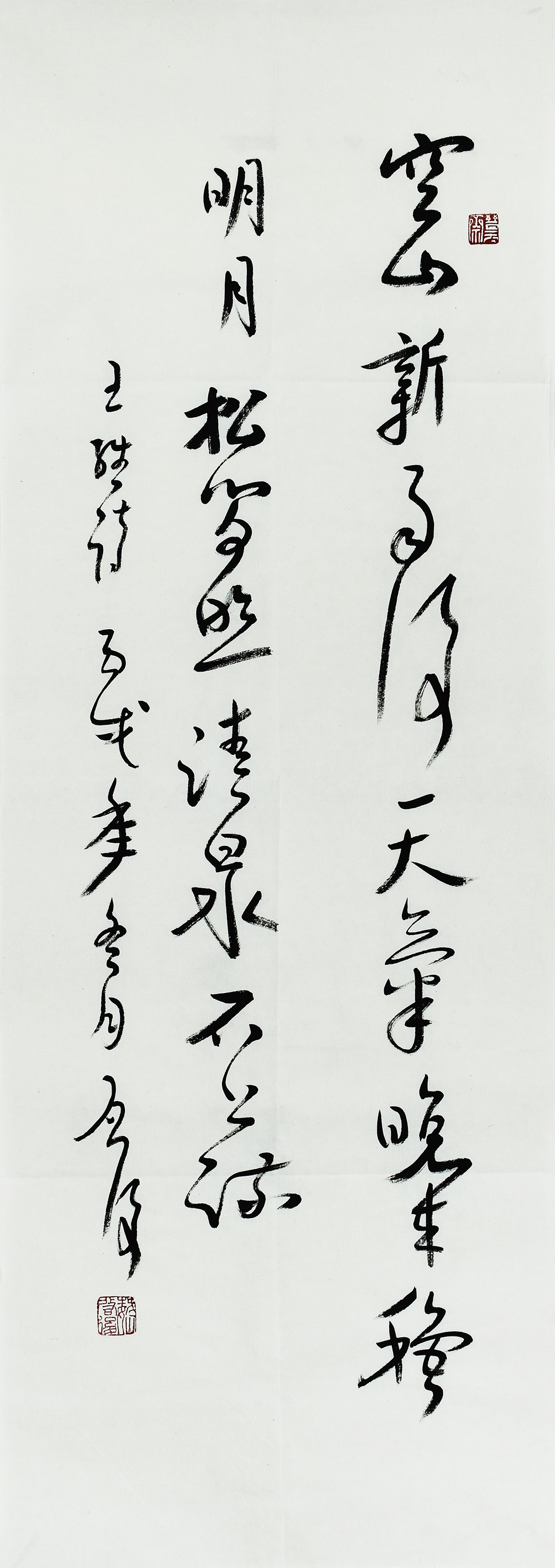 鷨