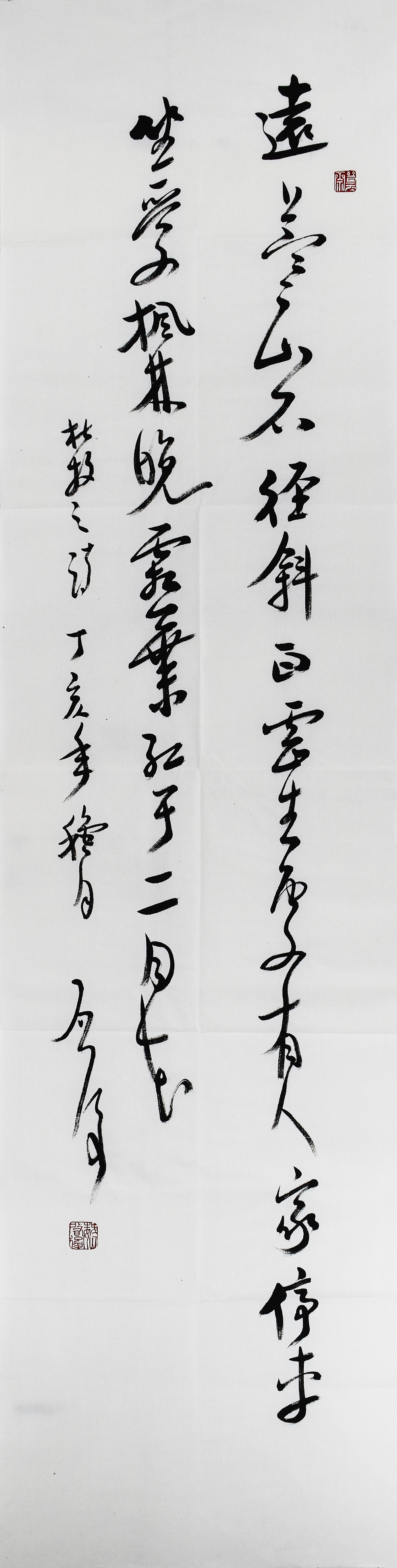 鷨