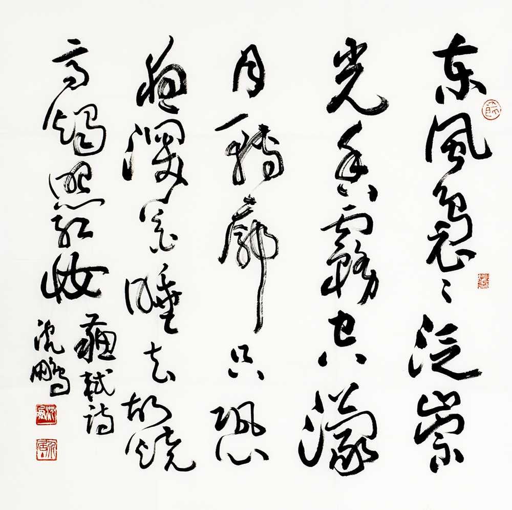 鷨