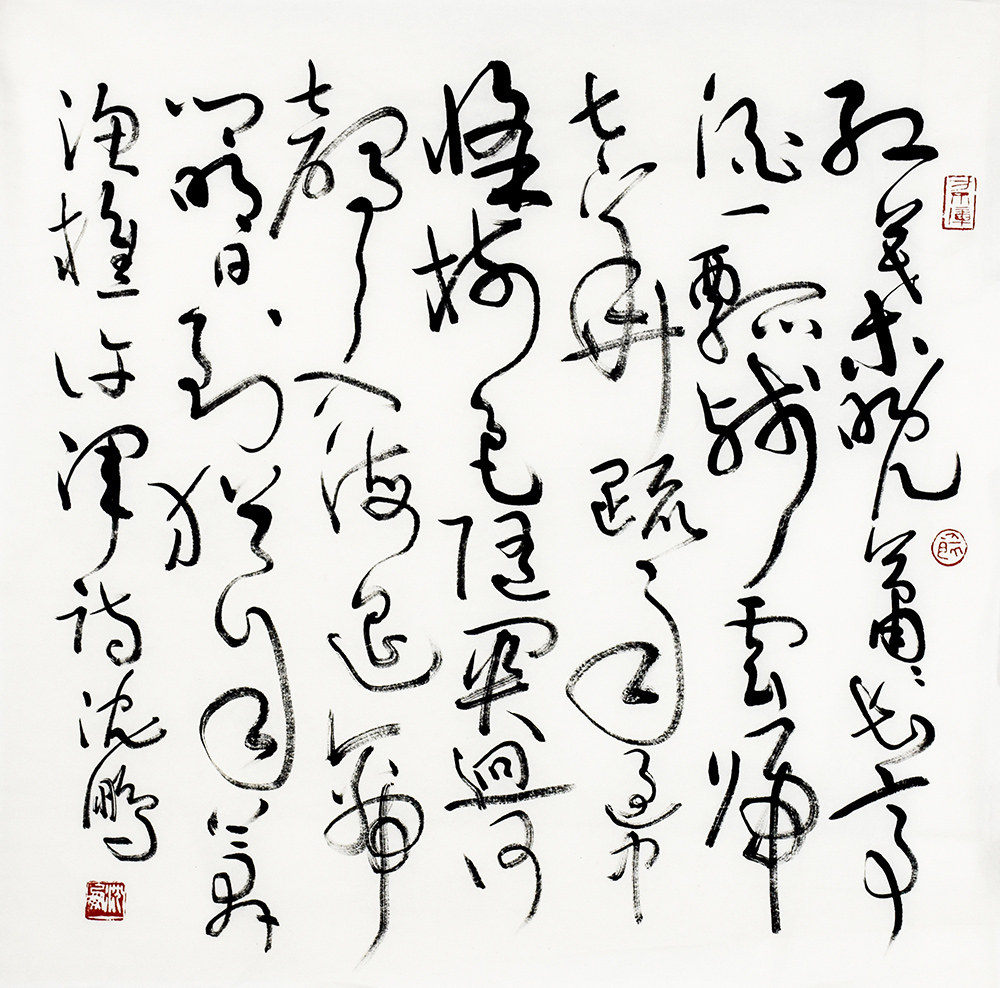 鷨