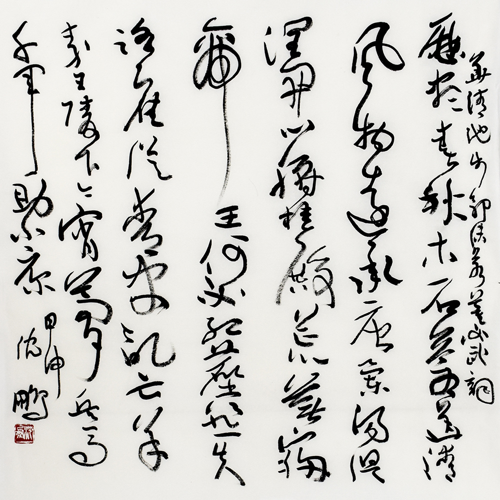 鷨