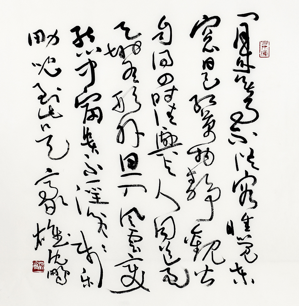 鷨