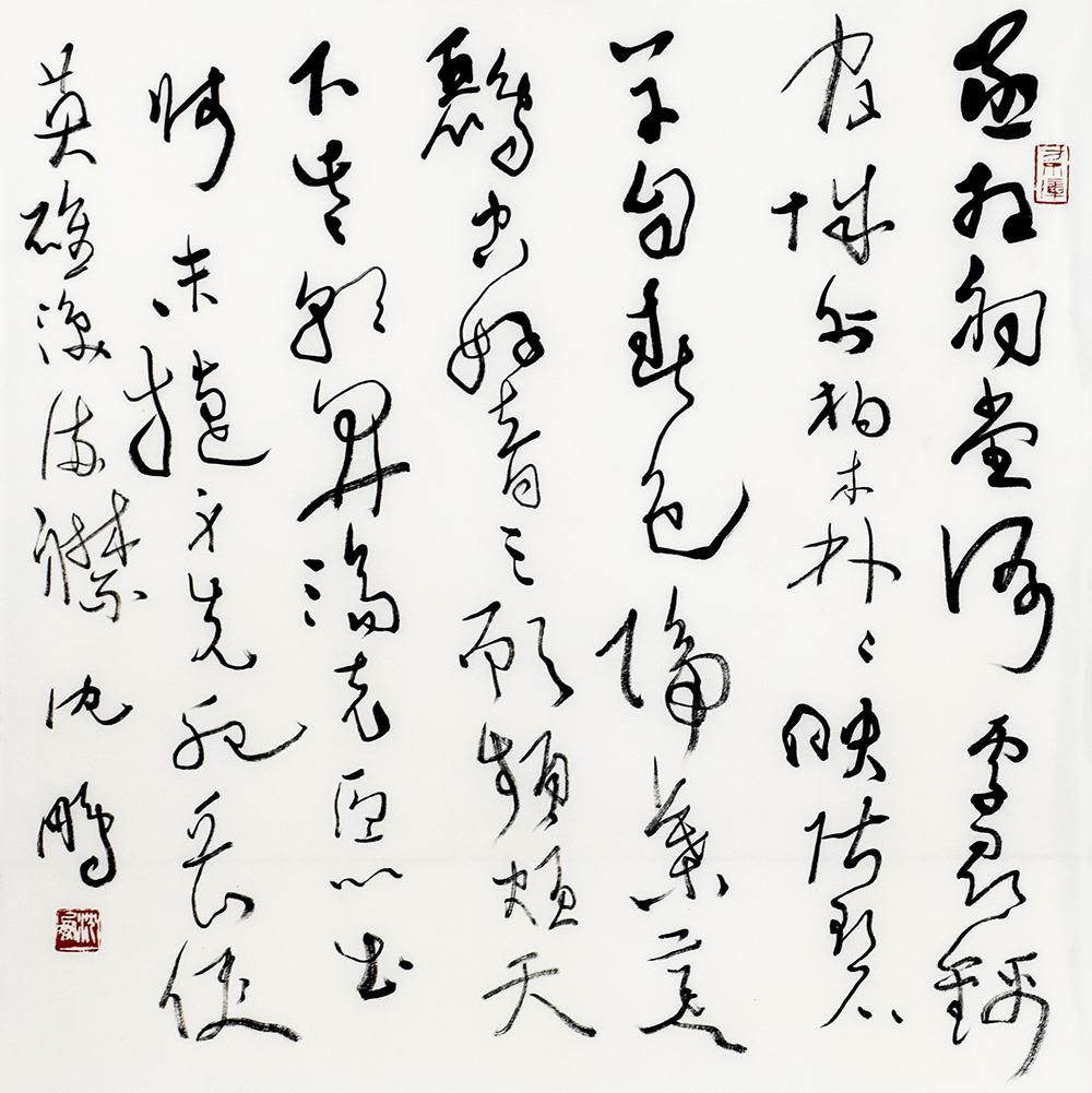 鷨