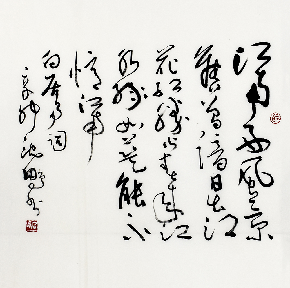 鷨