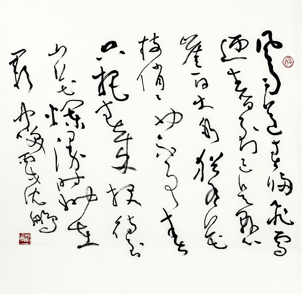 鷨