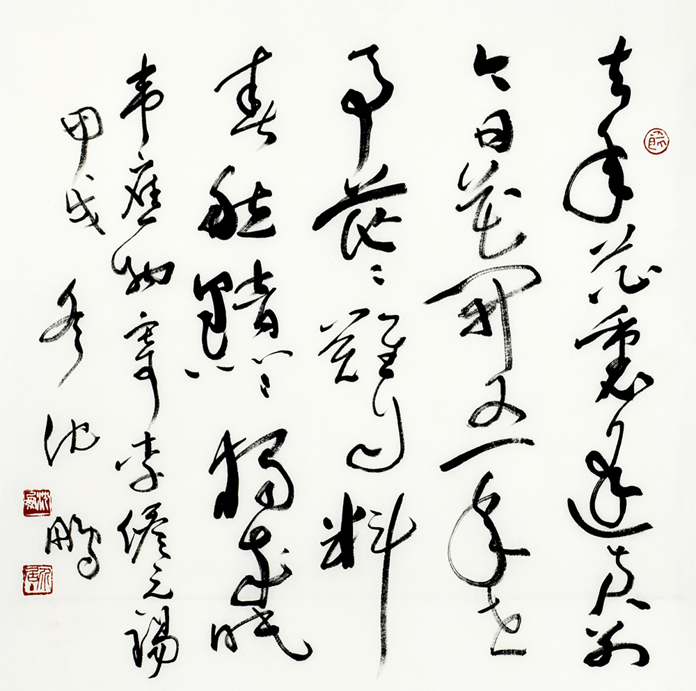 鷨