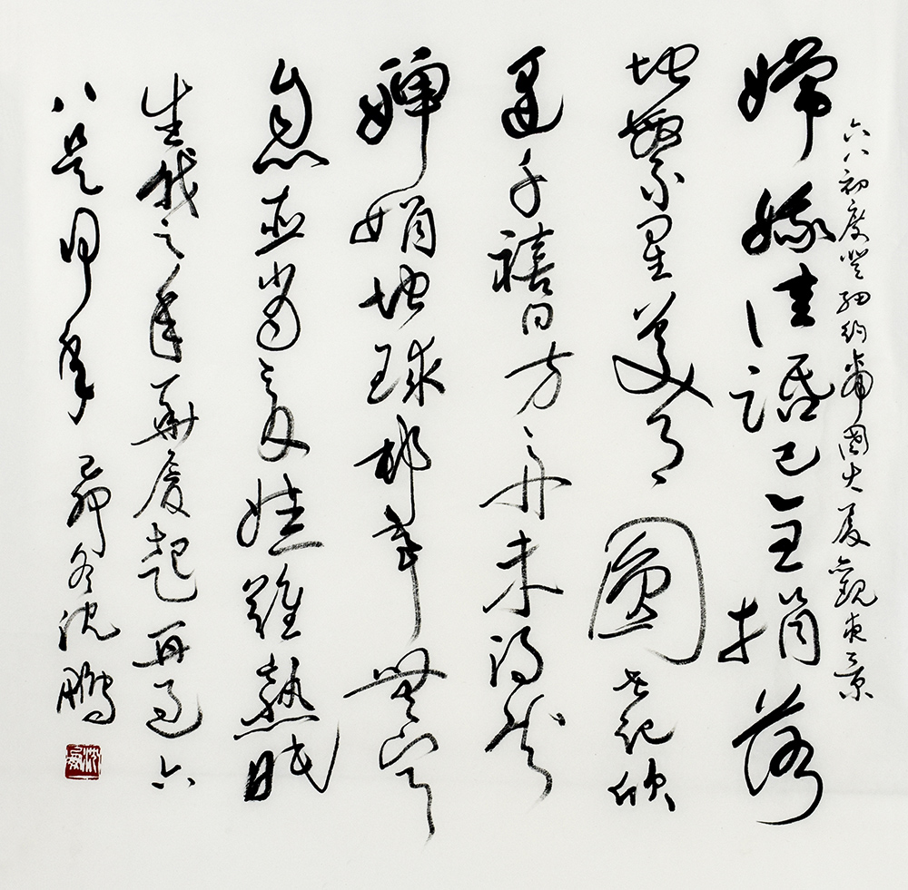 鷨