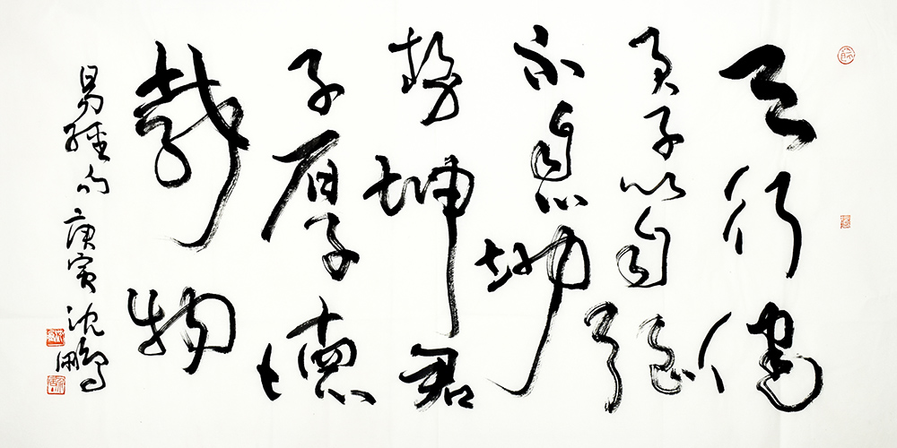 鷨
