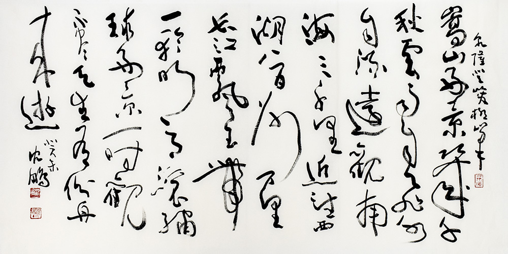 鷨