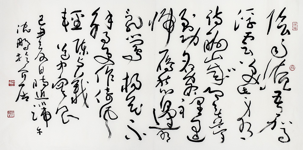鷨