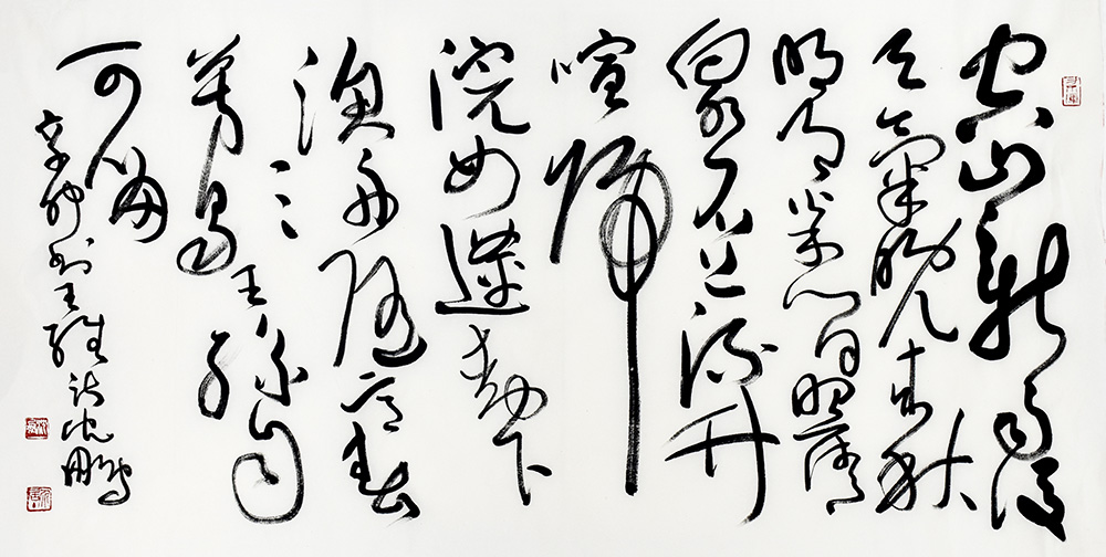 鷨
