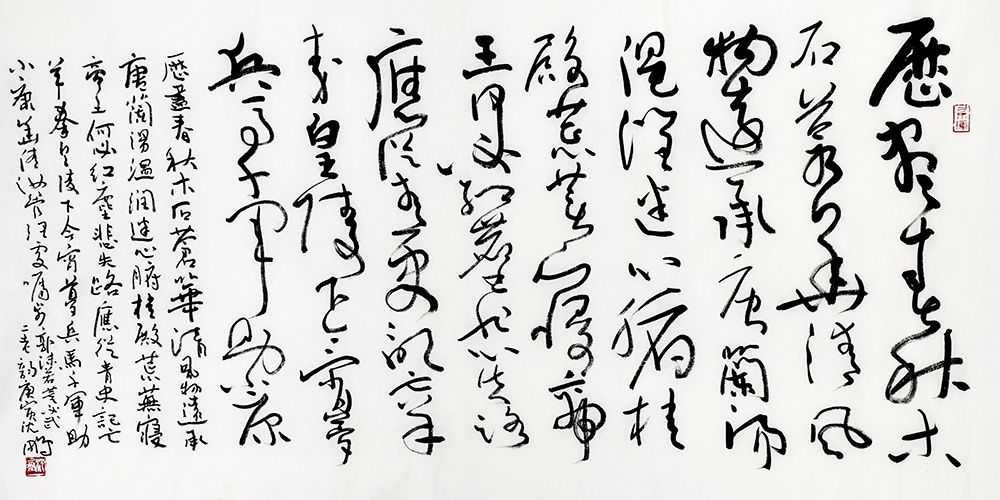 鷨