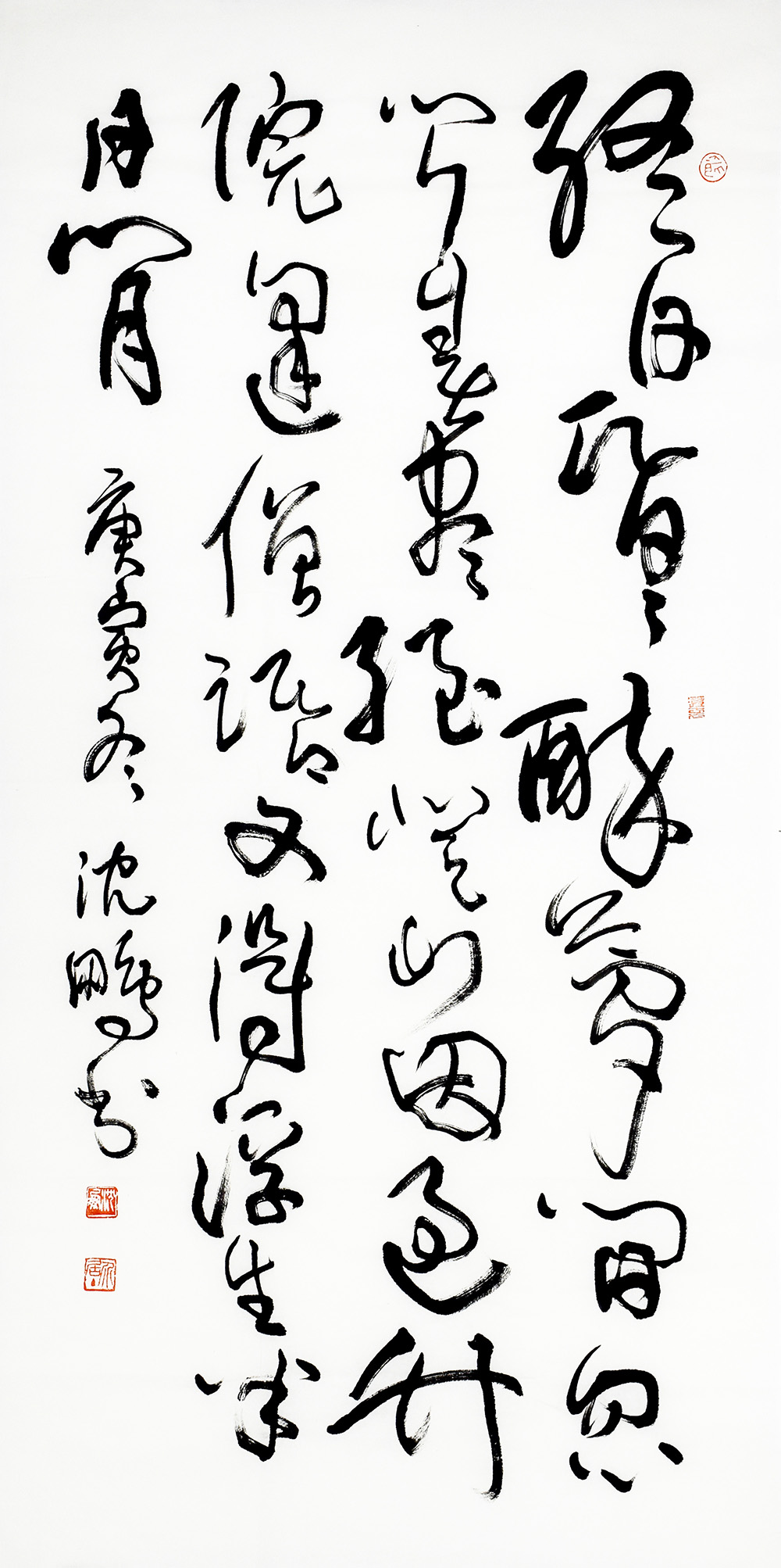 鷨