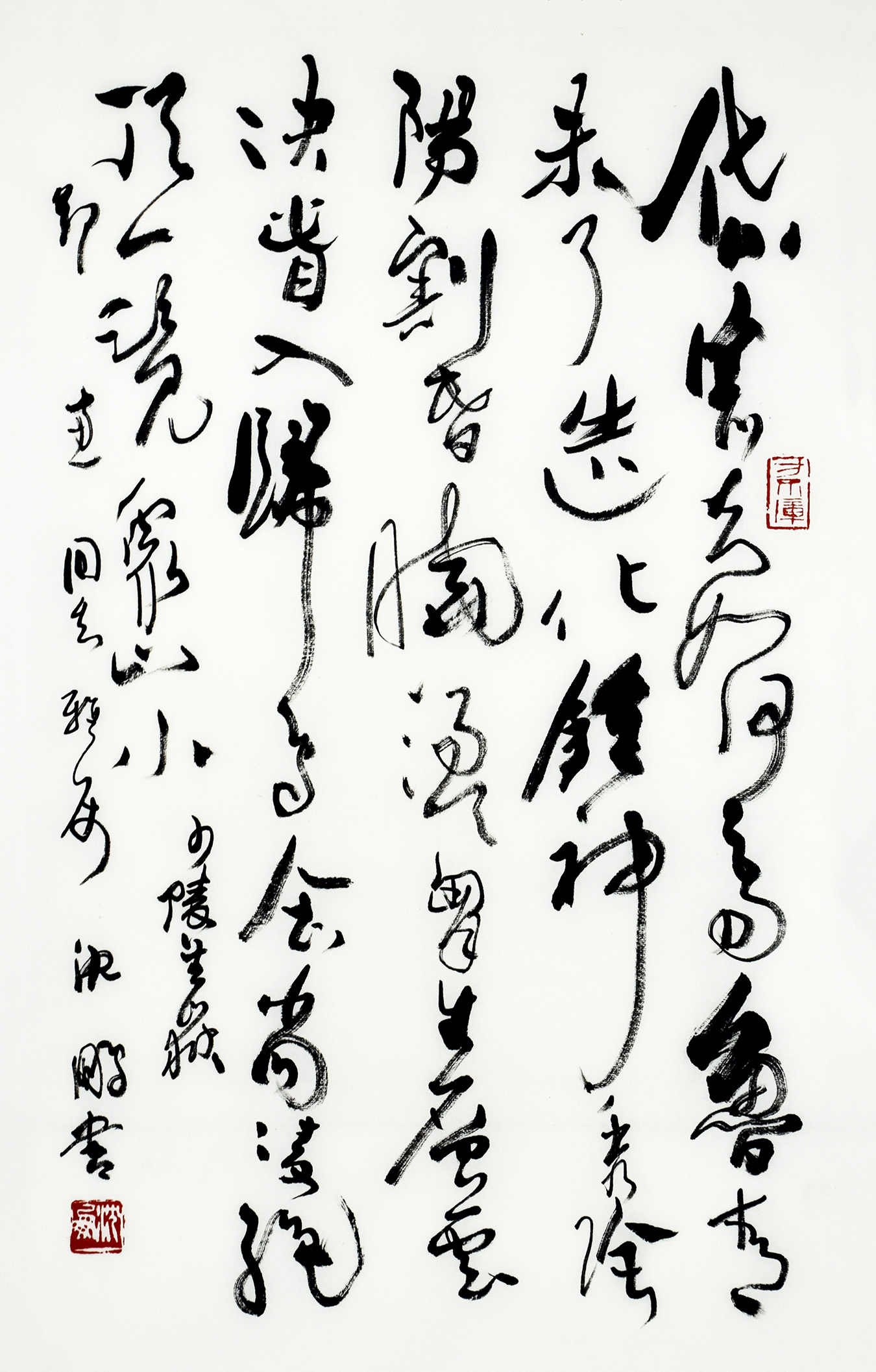 鷢
