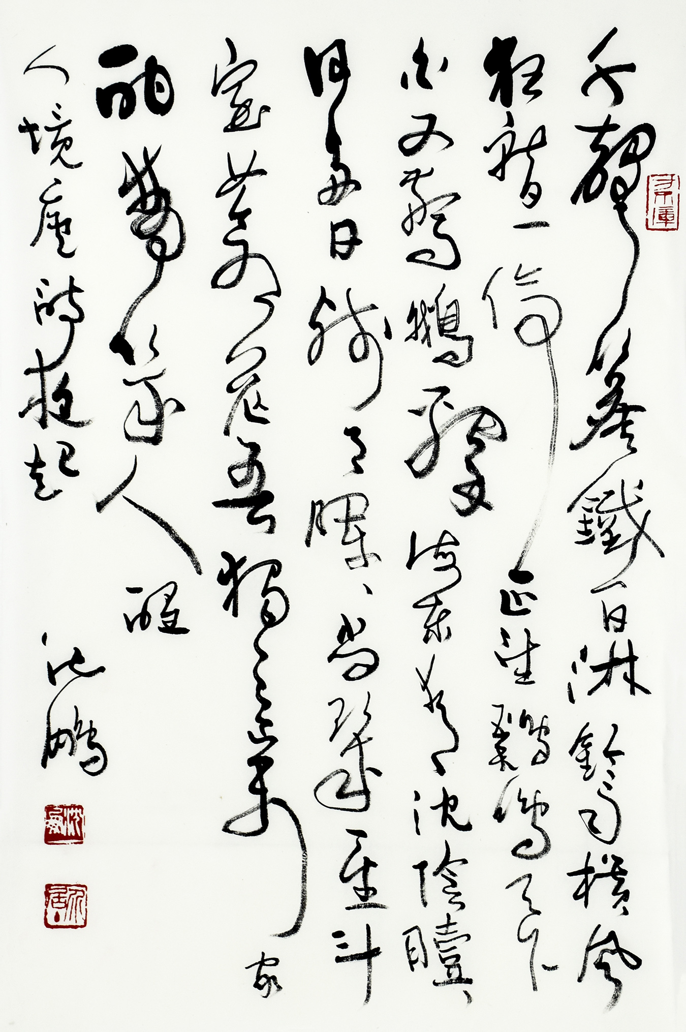 鷨