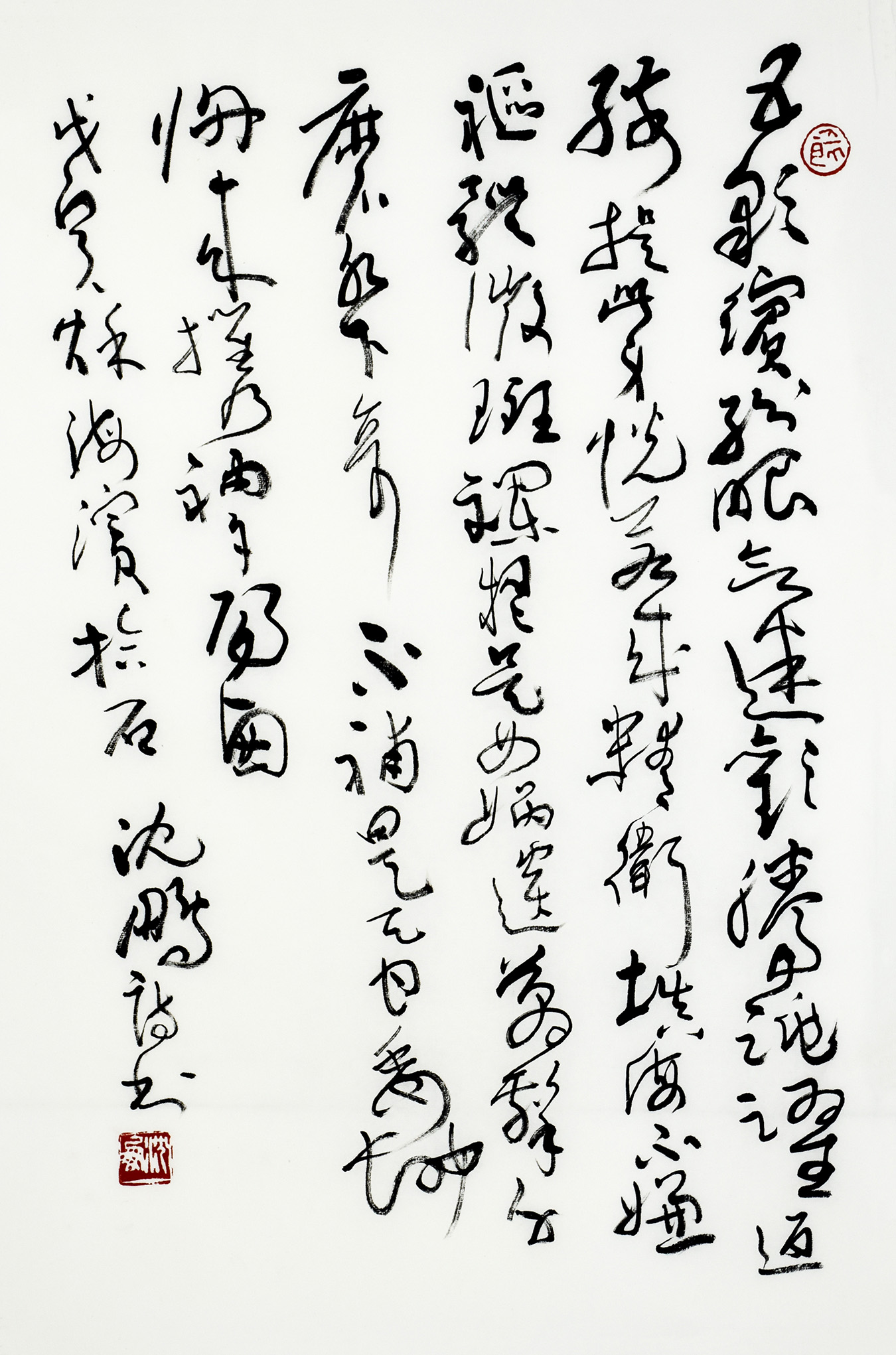 鷨