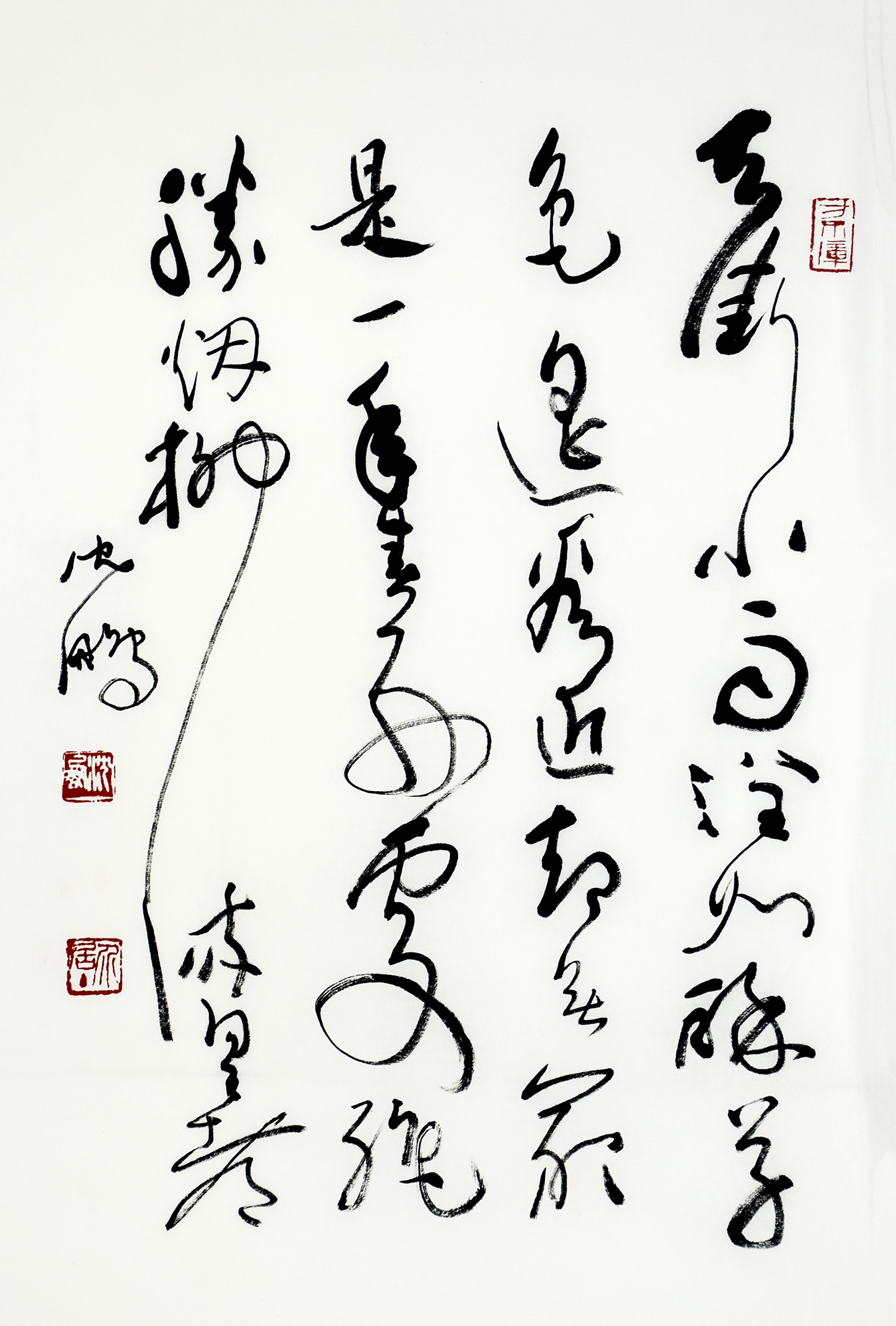 鷨