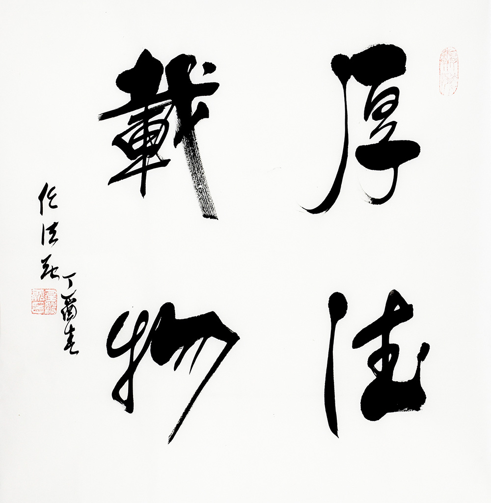 鷨
