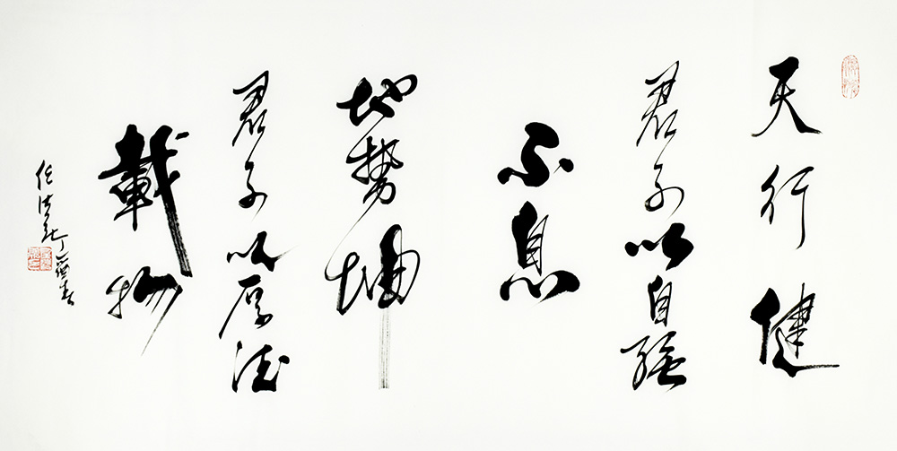 鷨