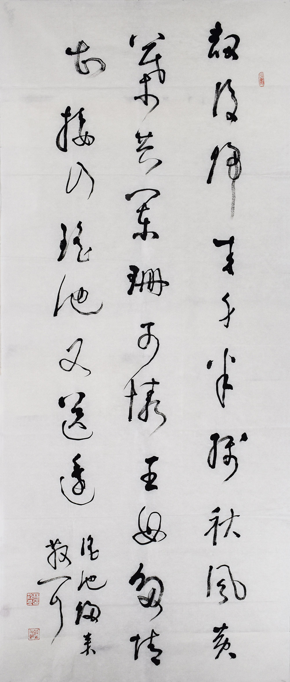 鷨