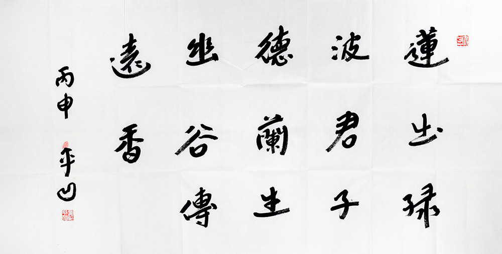 鷨