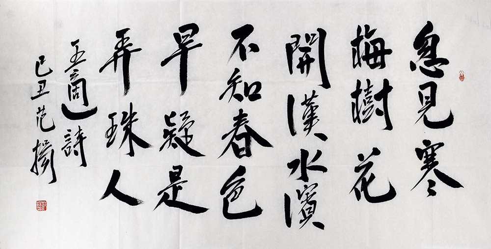 鷨