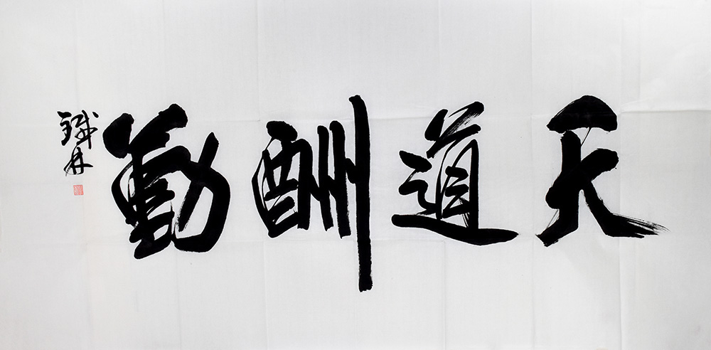 鷨
