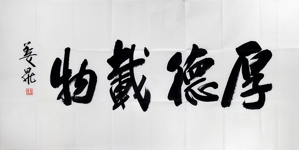 鷨