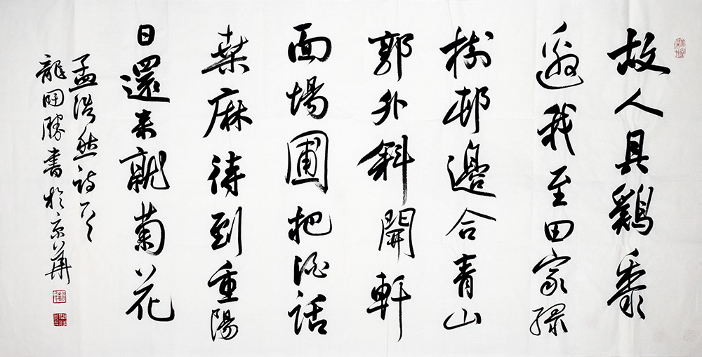 鷨