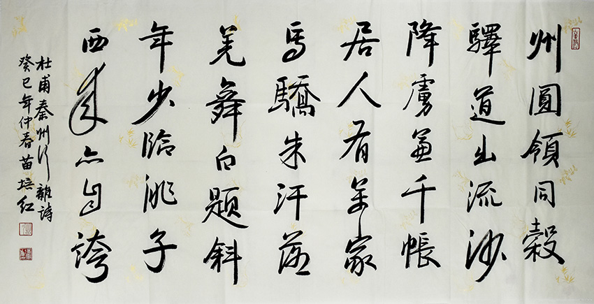 鷨