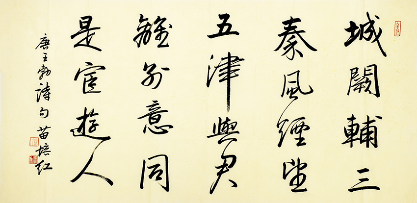 鷨