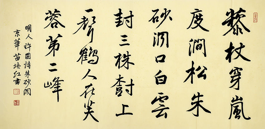 鷨