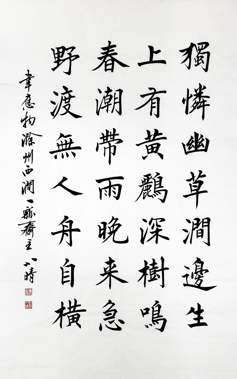 鷨