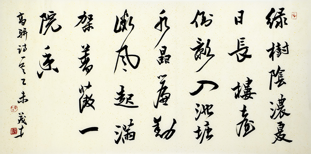 鷨