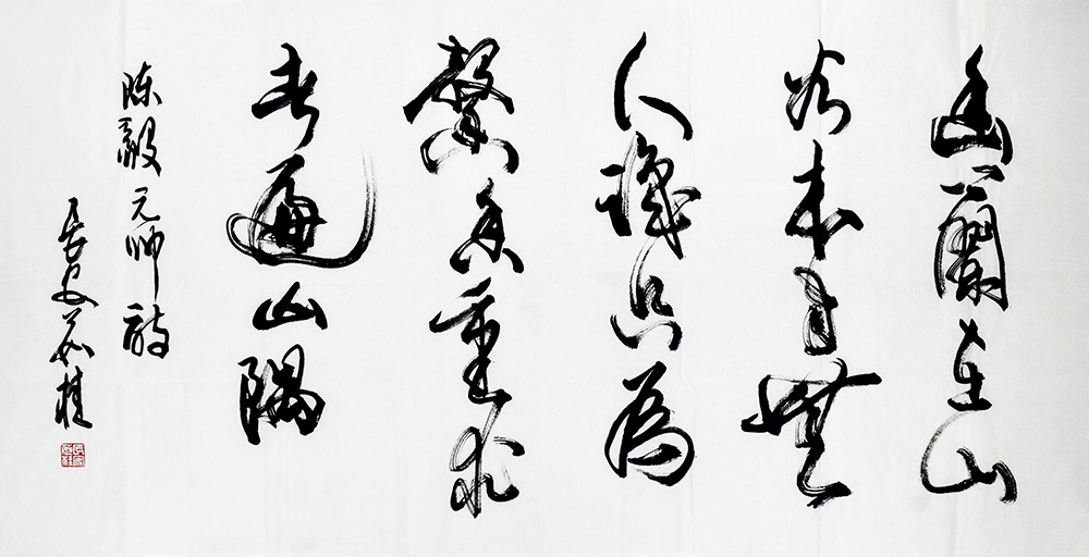 鷨
