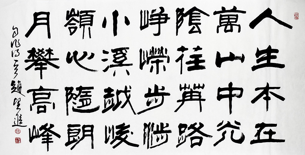 鷨