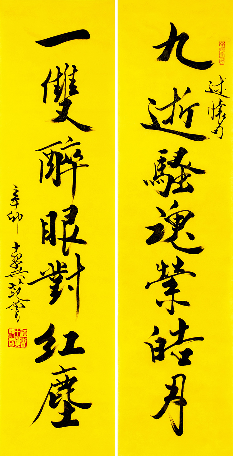 鷨