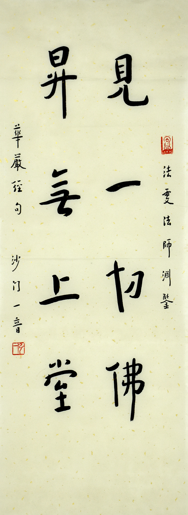 鷨