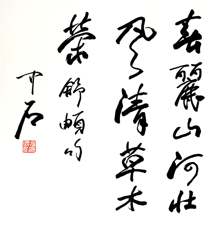 鷨