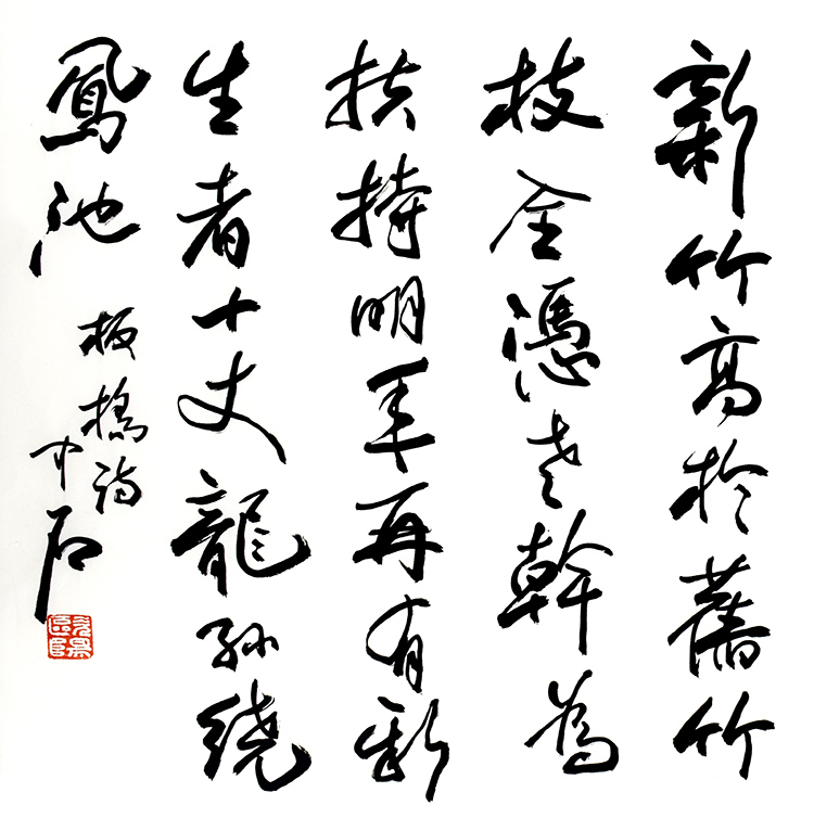 鷨