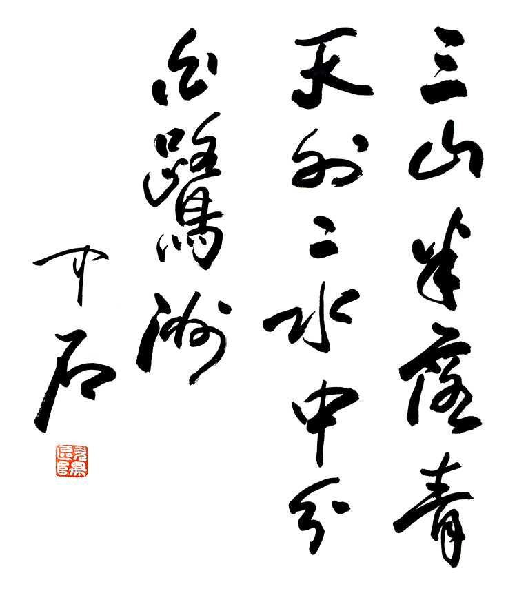 鷨