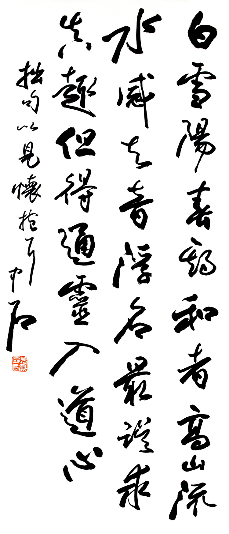鷨