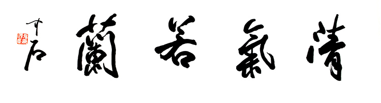 鷨