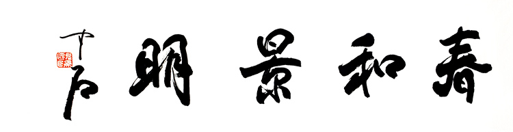 鷨