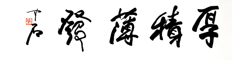 鷨