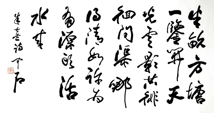鷨