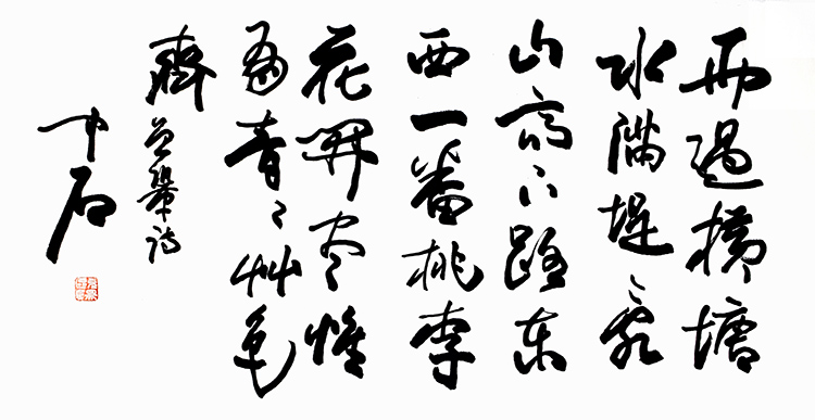 鷨