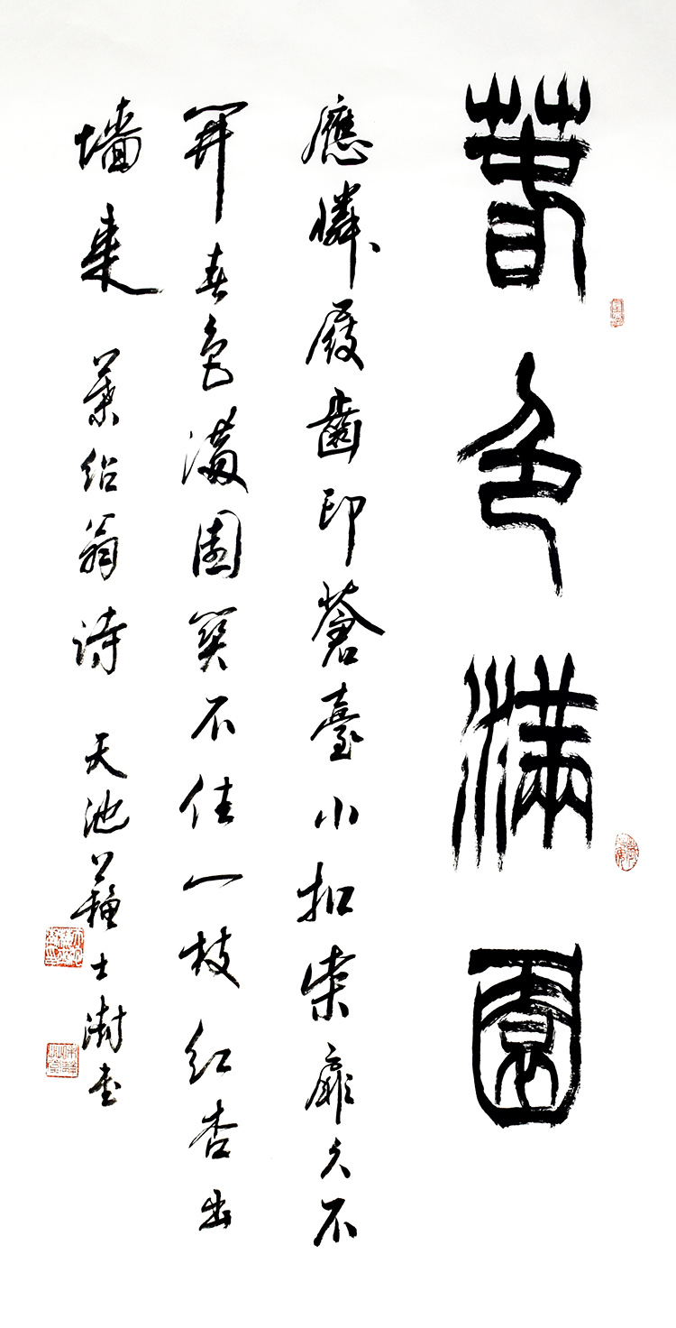 鷨