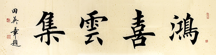 鷨