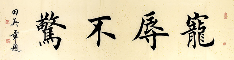 鷨